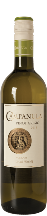 Campanula Pinot Grigio 2016 Campanula Pinot Grigio 2016