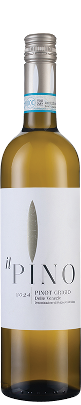Il Pino Pinot Grigio