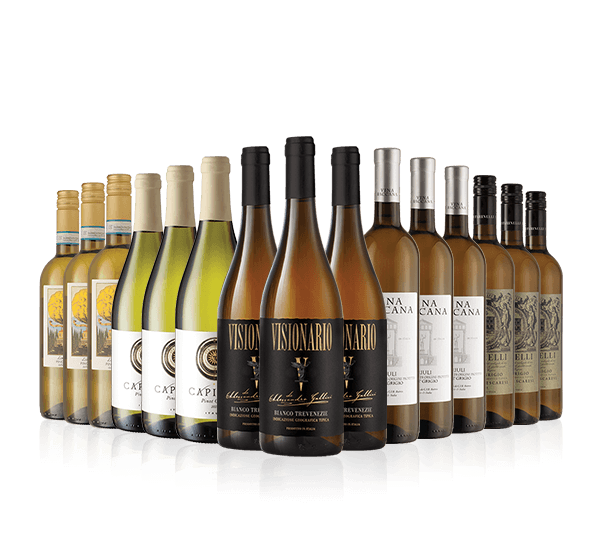 Italian Pinot Grigio Dozen + Visionario Trio