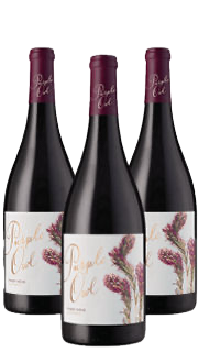 Purple Owl Pinot Noir 2022 – 3 btls Purple Owl Pinot Noir 2022 – 3 btls