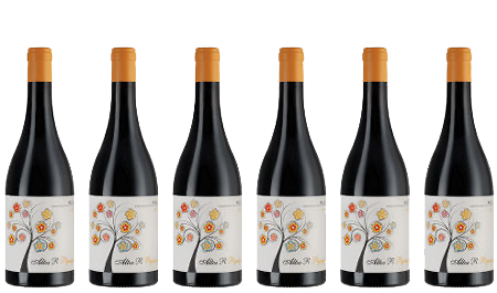 Altos R Pigeage 2020 (6 bottles)